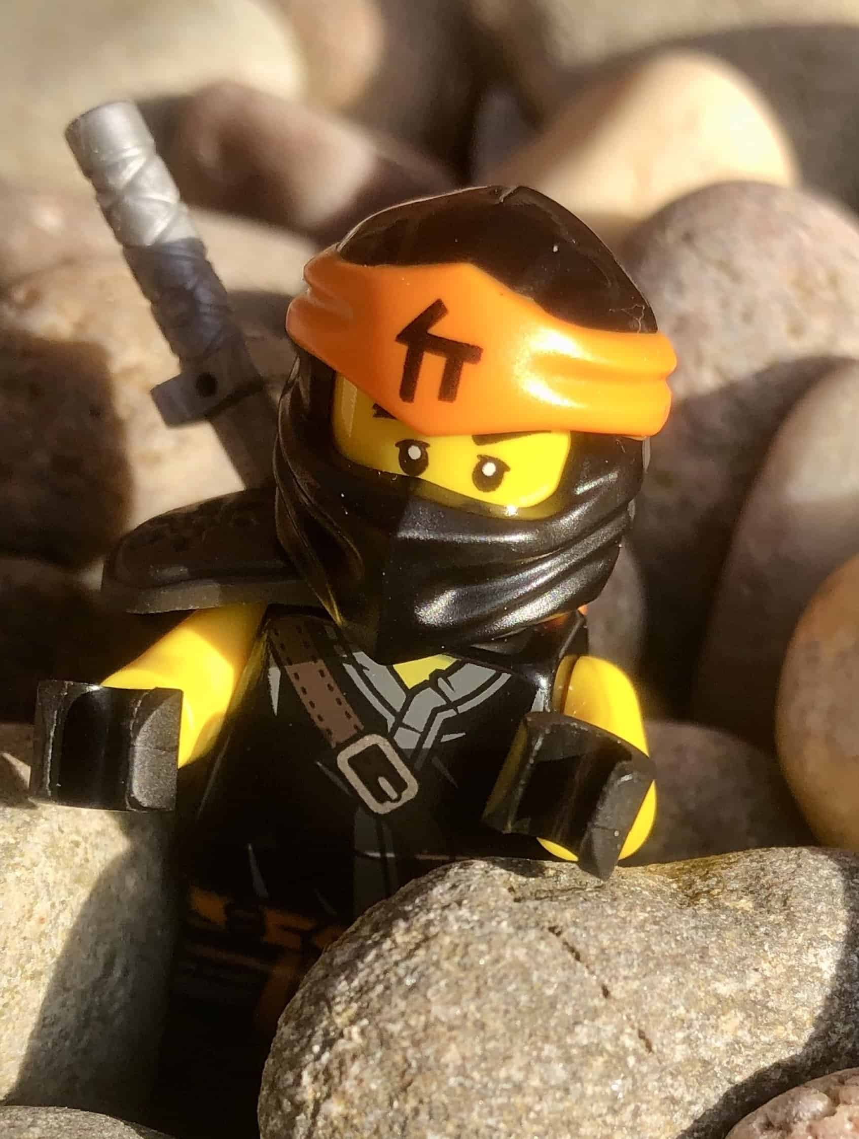 Lego Brick Reviews